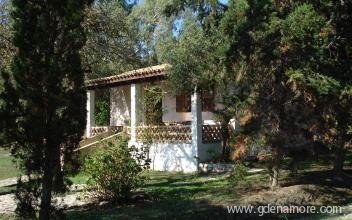 arginusa , privat innkvartering i sted Zakynthos, Hellas