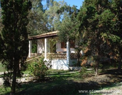 arginusa , privat innkvartering i sted Zakynthos, Hellas