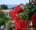 Apartments SANJA, private accommodation in city Poreč, Croatia