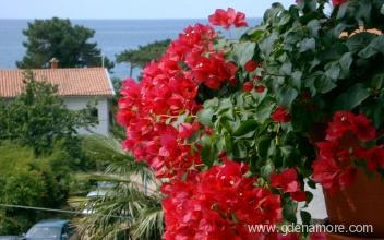 Apartments SANJA, private accommodation in city Poreč, Croatia