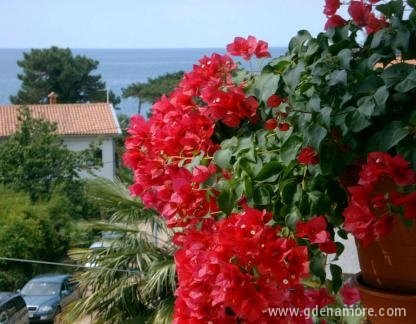 Apartments SANJA, private accommodation in city Poreč, Croatia