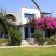 Orizontes Studios Milos, частни квартири в града Milos Island, Гърция - garden