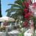 Amalthia studios, privat innkvartering i sted Skiathos, Hellas - Amalthia studios