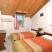 Dolphin studios, private accommodation in city Zakynthos, Greece - Dolphin keri