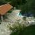 Villa Mia, privatni smeštaj u mestu Bijela, Crna Gora - Pogled na dvoriste