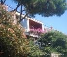 Pine tree, private accommodation in city Dubrovnik, Croatia