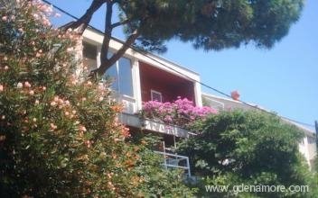 Pine tree, private accommodation in city Dubrovnik, Croatia