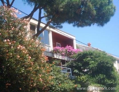 Pine tree, private accommodation in city Dubrovnik, Croatia - 1