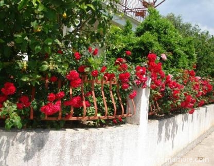 &Epsilon;&kappa;&pi;&lambda;&eta;&kappa;&tau;&iota;&kappa;ό&sigmaf;, ενοικιαζόμενα δωμάτια στο μέρος Orebić, Croatia - 1