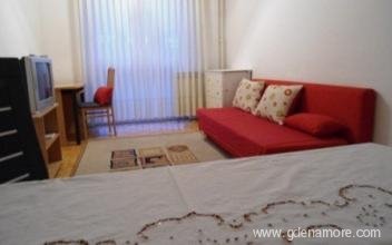 Apartment in Zagreb, Trešnjevka, private accommodation in city Zagreb, Croatia