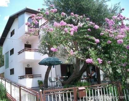 Apartments Vila Filipovic, private accommodation in city Živogo&scaron;će, Croatia - vila filipovic