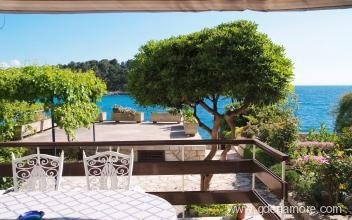 Apartment Bosnic-Zorica, private accommodation in city Korčula, Croatia