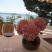 Apartments - Jakovic, private accommodation in city Brela, Croatia