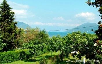 Apartmani Igalo, privat innkvartering i sted Igalo, Montenegro