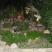 Apartmaji v Sutomoru, apartman br.1, zasebne nastanitve v mestu Sutomore, Črna gora - 6