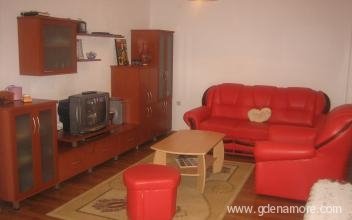 Apartman 60 m2, private accommodation in city Ohrid, Macedonia