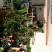 Apartmani, alloggi privati a Herceg Novi, Montenegro - Basta 1