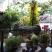 Apartments Hotel Magani, privat innkvartering i sted Pelion, Hellas