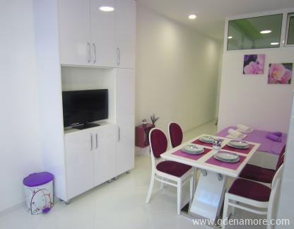 Appartamenti "BISER" Becici, alloggi privati a Bečići, Montenegro