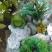 Fortuna amartment, privat innkvartering i sted Kotor, Montenegro - 13