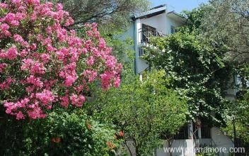 Apartments Vujosevic, private accommodation in city &Scaron;u&scaron;anj, Montenegro