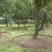 Guest House Djonovic, privatni sme&scaron;taj u mestu Petrovac, Crna Gora - O-49