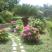 Guest House Djonovic, privatni sme&scaron;taj u mestu Petrovac, Crna Gora - O-51