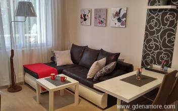 Apartmani AMFORA - Apartman A2, privatni sme&scaron;taj u mestu Igalo, Crna Gora