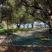 KAVOS PSAROU STUDIOS &amp; APARTMENTS, privatni sme&scaron;taj u mestu Zakynthos, Grčka - 15
