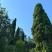 Apartmani Vujovic, &epsilon;&nu;&omicron;&iota;&kappa;&iota;&alpha;&zeta;ό&mu;&epsilon;&nu;&alpha; &delta;&omega;&mu;ά&tau;&iota;&alpha; &sigma;&tau;&omicron; &mu;έ&rho;&omicron;&sigmaf; Zelenika, Montenegro - vegetacija 