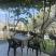 Apartamentos Edin, alojamiento privado en Dobre Vode, Montenegro - IMG_6918