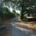 Mirjana accommodation, private accommodation in city Zelenika, Montenegro - 003