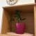 Apartman Tomanovic, alloggi privati a Tivat, Montenegro - IMG_6024