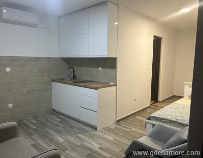 Apartman 1, , alloggi privati a Sutomore, Montenegro - IMG_1541