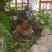 Park Hotel Biliana, privatni sme&scaron;taj u mestu Golden Sands, Bugarska - Garden