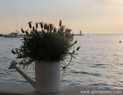 Rotonda, alojamiento privado en Novigrad, Croacia - Novigrad