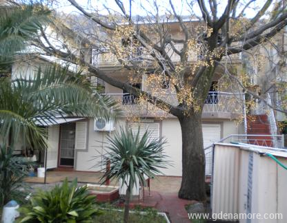 Villa Milic, Mag&aacute;n sz&aacute;ll&aacute;s a k&ouml;zs&eacute;gben Sutomore, Montenegr&oacute; - Mediteranski vrt