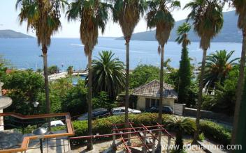 Leilighet i Herceg Novi, privat innkvartering i sted Herceg Novi, Montenegro