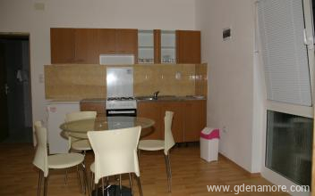 έ&nu;&alpha; &sigma;&pi;ί&tau;&iota;, &epsilon;&nu;&omicron;&iota;&kappa;&iota;&alpha;&zeta;ό&mu;&epsilon;&nu;&alpha; &delta;&omega;&mu;ά&tau;&iota;&alpha; &sigma;&tau;&omicron; &mu;έ&rho;&omicron;&sigmaf; Biograd, Croatia