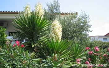 Appartements Dvorski, Privatunterkunft im Ort Pag, Kroatien